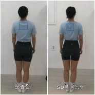 [천안불당동 필라테스] 체형교정 일대일 전문