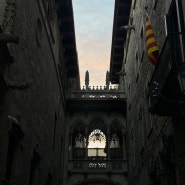 24' 말라가에서 바르셀로나/ 밤의 고딕지구