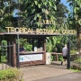 (미국여행) 하와이 빅아일랜드 이카카 폭포, 트로피컬 보타니컬 가든