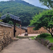 남평문씨 세거지 화원벽화마을 마비정 찐한 막걸리 농주 메밀묵 매ㅣ실청담기