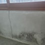 ( 안산 탄성코트 ) 그린빌 주공 8단지 아파트 베란다 곰팡이 탄성코트 시공후기