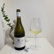 배비치, 말보로 소비뇽 블랑 2022 (Babich, Malborough Sauvignon Blanc 2022)
