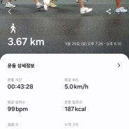 식단/운동기록 일상 24년 5월 26일 하루 40분 걷기 도전 일주일 정산