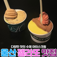 울산 태화강국가정원 젤라또 맛집 : 에이오아이스크림