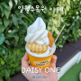 일월수목원 카페 데이지콘 어니스트밀크 아이스크림 후기