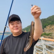 전북 군산으로 1박2일 낚시여행ㅎㅎㅎ 경치만 구경하다 옴ㅎㅎ