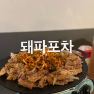 상남동 맛있는 안주가 있는 술집 “돼파포차”