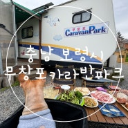 충남 보령시 웅천읍 무창포 카라반 파크 애견 동반 내 돈 내산 후기