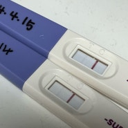 [4주]임신 의심, 확인