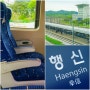 KTX 할인 예매 방법 행신역 서울역 국내 기차여행 꿀팁
