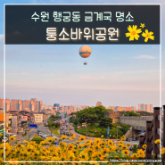 수원 행궁동 금계국 꽃구경 명소 동공원 퉁소바위공원
