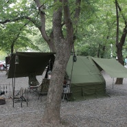 더운 여름캠핑 NO 시원한 캠프닉과 캠핑 모두 즐길수 있는 청주, 괴산, 보은 지역의 금관숲캠핑장