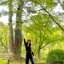 히로시마 관광지 가볼만한곳 슛케이엔 슈케이엔 정원
