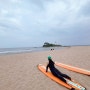 울산서핑 서프홀릭 진하 해수욕장 서핑 강습 장비렌탈 자유서핑