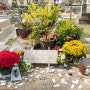 프랑스 파리 여행 코스 몽파르나스 묘지 :: <시네마 천국>의 알프레도 아저씨를 만나러 가볼만한곳