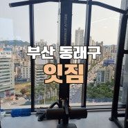 [부산 동래구] 13층 고층 뷰 헬스 맛집 사직 헬스장 잇짐