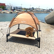 반려템 - 강아지 그늘막 텐트, 에이그라운드 베드독 강아지 캠핑 의자 침대