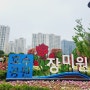 김포 마산동 호수공원 장미