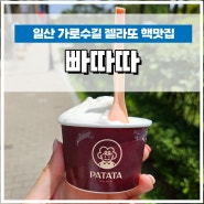 일산 가로수길 디저트 서울에서도 먹으러 오는 수제 젤라또, 빠따따 (+주차, 오늘의 맛