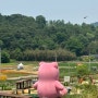 2024 고창 꽃정원 치유문화축제에서 벨리곰을 만나다