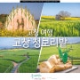 전북 고창 가볼만한곳 고창 여행 학원관광농원 고창 청보리밭