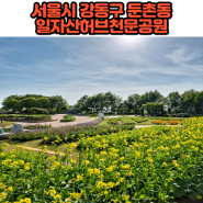 서울시 강동구 둔촌동 가볼만한곳 일자산허브천문공원