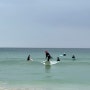 제주도 월정리 해수욕장 서핑게스트하우스 메이드인월정리 스탭들의 서핑 강습 메월서핑, 스탭들의 특권 서핑배우기