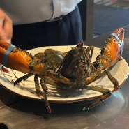 성남 분당 데판야끼/맛있는 한우와 랍스타에 불쇼까지 즐길 수 있는 “애나의 정원 분당점”