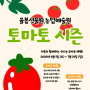 2024 율봄식물원과 함께하는 토마토 체험🍅 | 가격정보