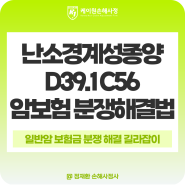 난소경계성종양 D39.1 일반암으로 암 보험금 제대로 받기