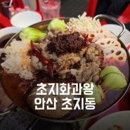 안산 초지화과왕: 초지동맛집 초지동중식당 안산중식당 안산맛집
