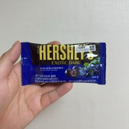 허쉬 다크초콜릿 아사이앤드 블루베리 가격 파는곳 칼로리 맛있는 초콜릿 추천