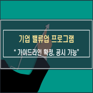 밸류업 프로그램 가이드라인 확정 금일부터 공시 가능