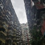[홍콩] 홍콩 가볼만한곳 K11, 후통, 초이홍, 익청빌딩
