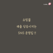 쇼핑몰 매출 상승시키는 SNS 운영팁 !!