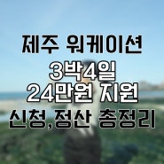제주 워케이션 꿀팁 신청방법 정산받은 찐 후기 (제주시 숙소, 공유오피스, 요가 추천)