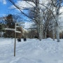 삿포로 나카지마공원 겨울 산책 북해도 자유여행