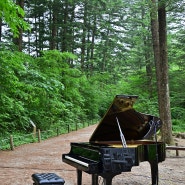 숲과 나무 음악회, 국립수목원 25주년, 피아니스트 임미정 Scott Cuellar 윤호근 배아스바리톤 한혜열