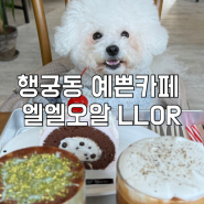 [LLOR] 행궁동 예쁜 카페 강아지 동반 카페 엘엘오알 🐶 (사진 많음)