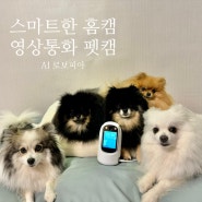 영상통화 cctv 홈캠 강아지 고양이 펫캠 제우스로보틱스 AI 돌봄로봇 로보피아 홈캠 펫캠