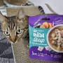 고양이습식사료 습식캔 추천, 음수량 늘리기에 좋은 하림펫푸드 더리얼 캣 스프