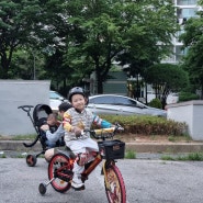 삼천리 어린이 자전거(삼송원흥점)
