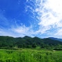 강원도 홍천 모곡유원지 캠핑,차박,낚시,당일 나들이로 좋은곳 감성주의