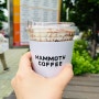 [방문] 합리적인 가격의 커피 도봉구청 맘모스커피
