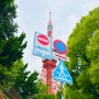 도쿄타워 포토스팟 , 시바공원 도쿄타워 가는길