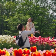 19개월 아기기록 아만타타 주말일상 서울대공원