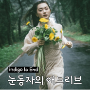 [일본 밴드] 인디고 라 엔드 indigo la End - 눈동자의 애드리브 Hitomi no Adlib 가사 해석 발음 노래방