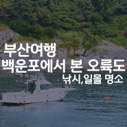 부산 백운포 오륙도오션뷰, 일몰명소 낚시포인트 가는법 주차정보!
