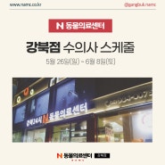 5월 26일(일) ~ 6월 8일(토) 수의사 스케줄 안내♡ N동물의료센터[강북점]