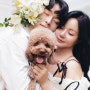 결혼 기념일에 필름스냅 반려견 애견스냅 가족 커플스냅 by 헬로나나 필름스냅